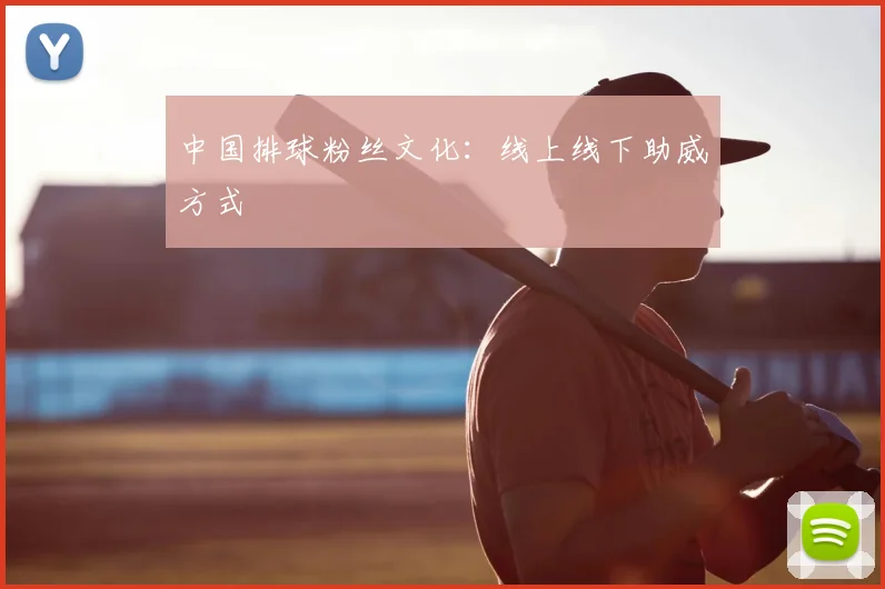 中国排球粉丝文化：线上线下助威方式