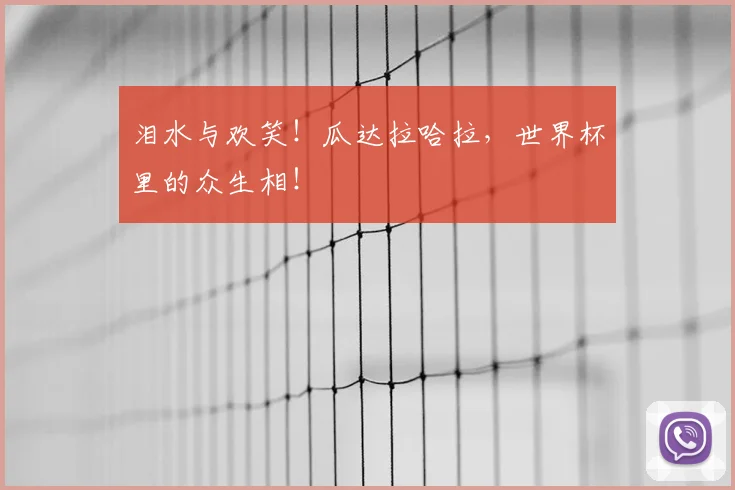 泪水与欢笑!瓜达拉哈拉,世界杯里的众生相!
