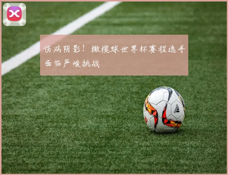 伤病阴影！橄榄球世界杯赛程选手面临严峻挑战